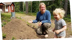 Kort berättelse: Vid myrstacken ställde mitt barn en fråga som förändrade allt