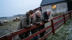 Kort berättelse: Jag skrattade åt mormors fårrim – tills jag stod i ladan