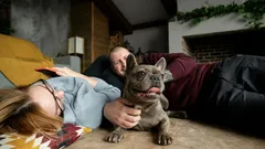 Från nos till svanstipp: Så förstår du din hunds kroppsspråk