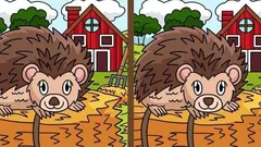 Hjärngympa: Kan du hitta 3 skillnader på bilden med en igelkott på 25 sekunder?