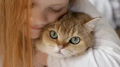 Gillar du katter? Psykologer har identifierat fem typiska personlighetsdrag hos dessa personer