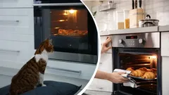 Vad lådan under ugnen egentligen är till för: Få känner till dess syfte